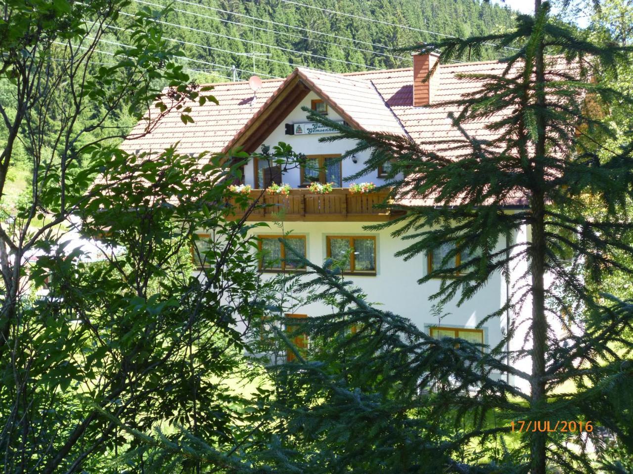 Landgasthaus Gemsennest Hotel Feldberg  Exterior photo